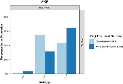 Pharmacogenetics of Praziquantel Metabolism: Evaluating the Cytochrome P450 Genes of Zimbabwean Patients During a Schistosomiasis Treatment